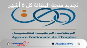جدد الآن.. خطوات تجديد منحة البطالة كل 6 أشهر بالجزائر 2025 والشروط اللازمة