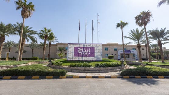 عاجل.. بدء اكتتاب الأفراد في أسهم الشركة العربية للإستثمار الزراعي