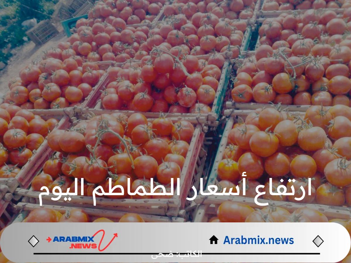 وصل ارتفاع أسعار الطماطم اليوم للضعف في بعض المحافظات المصرية