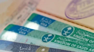 عاجل.. تفاصيل قرار وزارة الخارجية بشأن إيقاف اصدار تأشيرات الزيارة العائلية المتعددة