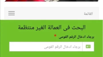 وزارة القوى العاملة توضح خطوات الاستعلام عن منحة العمالة غير المنتظمة 